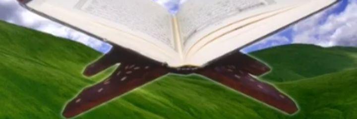 rewdabintislam1's profile banner image