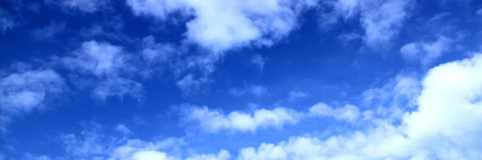 single_shallow's profile banner image