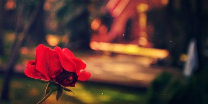 _heymawn's profile banner image
