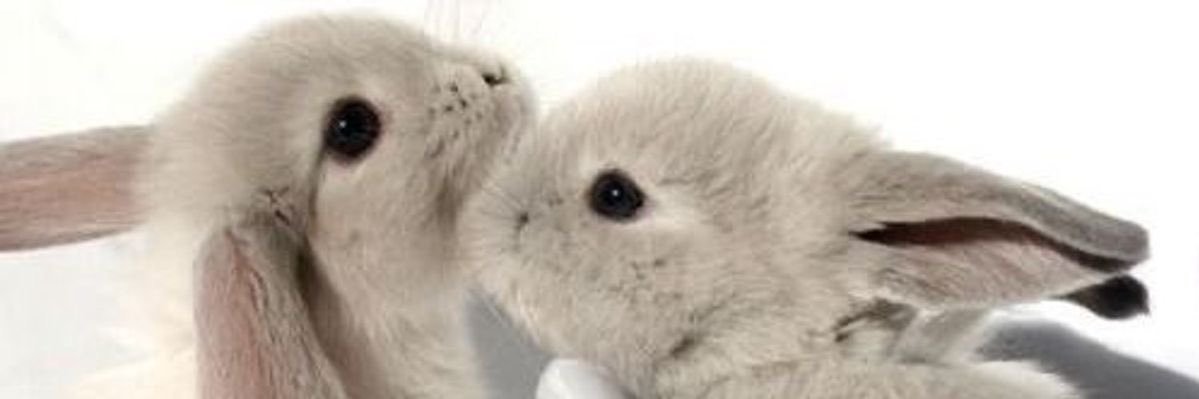 wackassleslie's profile banner image