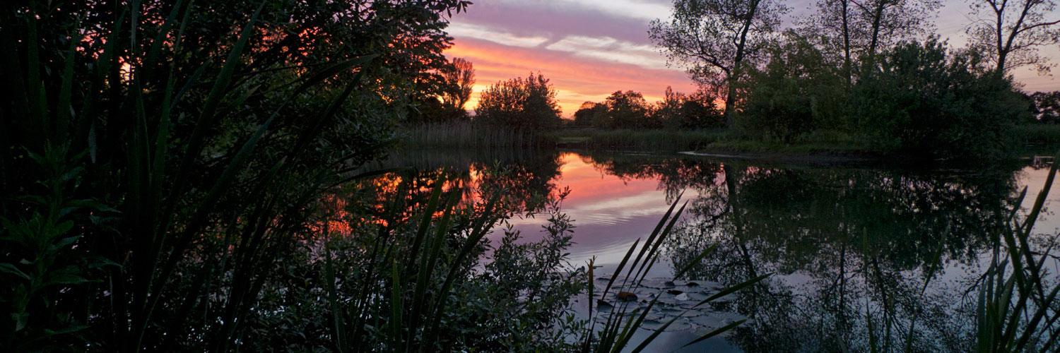 carpthreadz's profile banner image