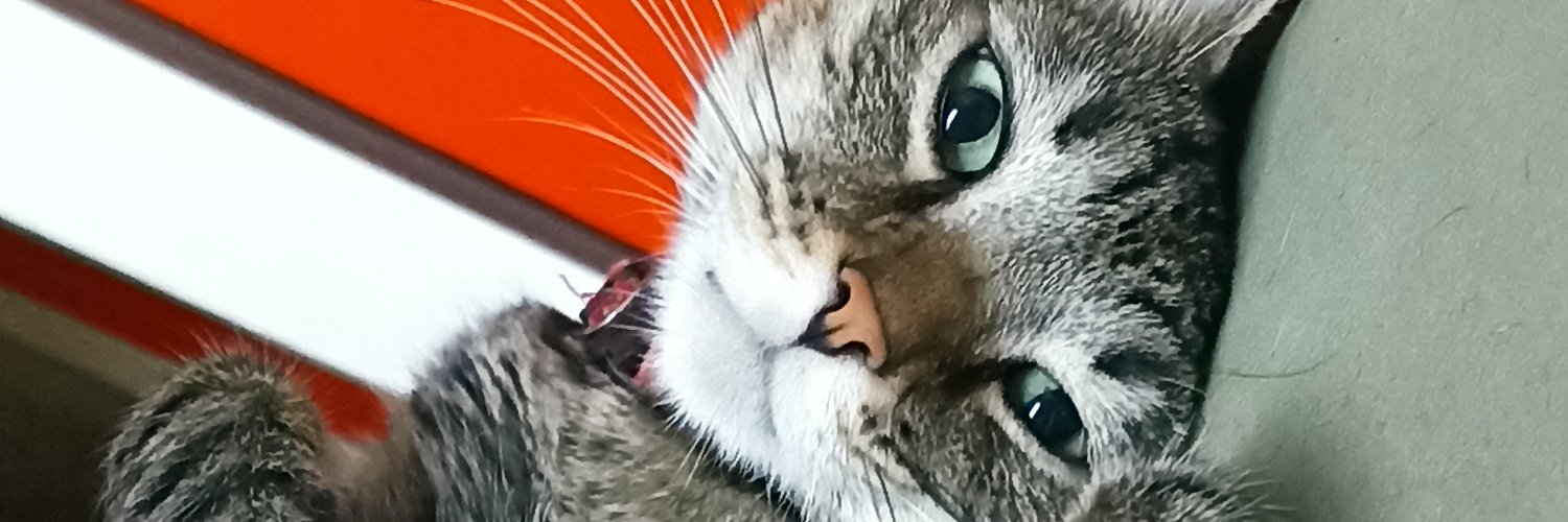 LSPrietoA's profile banner image