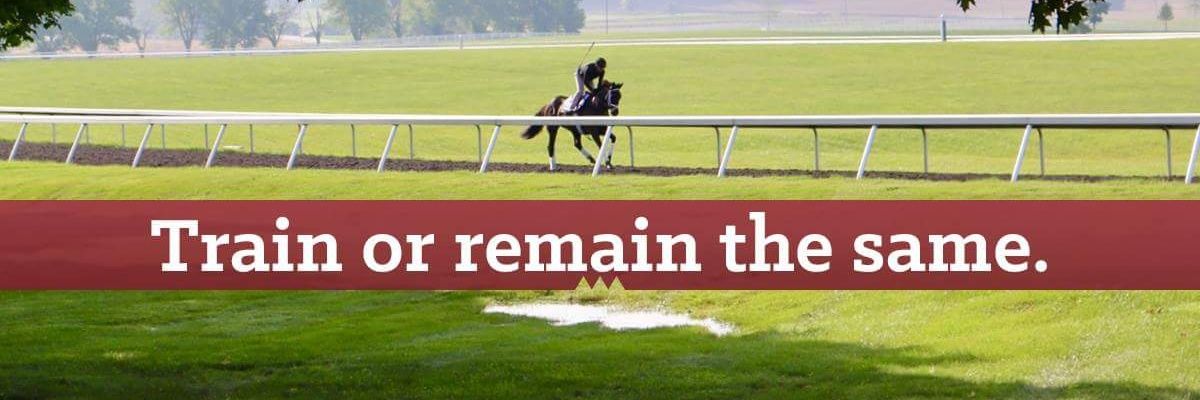 equine_redhead's profile banner image