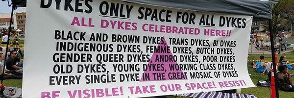 sextoyspolitics Profile Banner