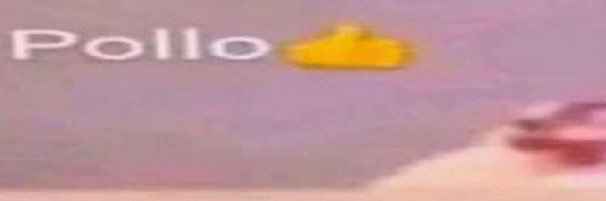 lilgudi's profile banner image