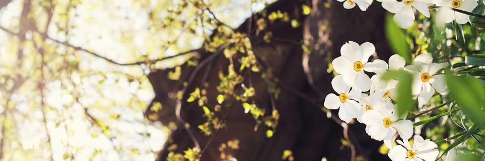 ryanisnasty's profile banner image
