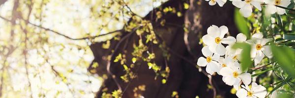 ryanisnasty Profile Banner