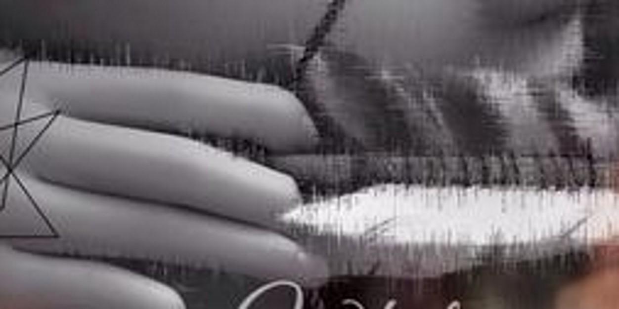 Mérida DunBroch banner