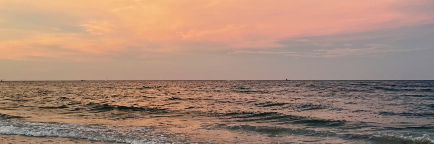 ppnspry's profile banner image