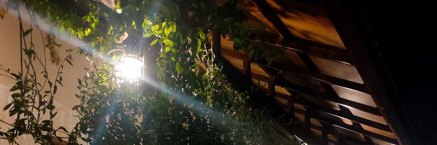Djattri's profile banner image