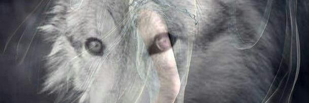 goddessfreya3's profile banner image