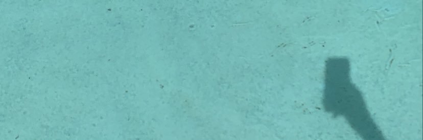 jamesbnii's profile banner image