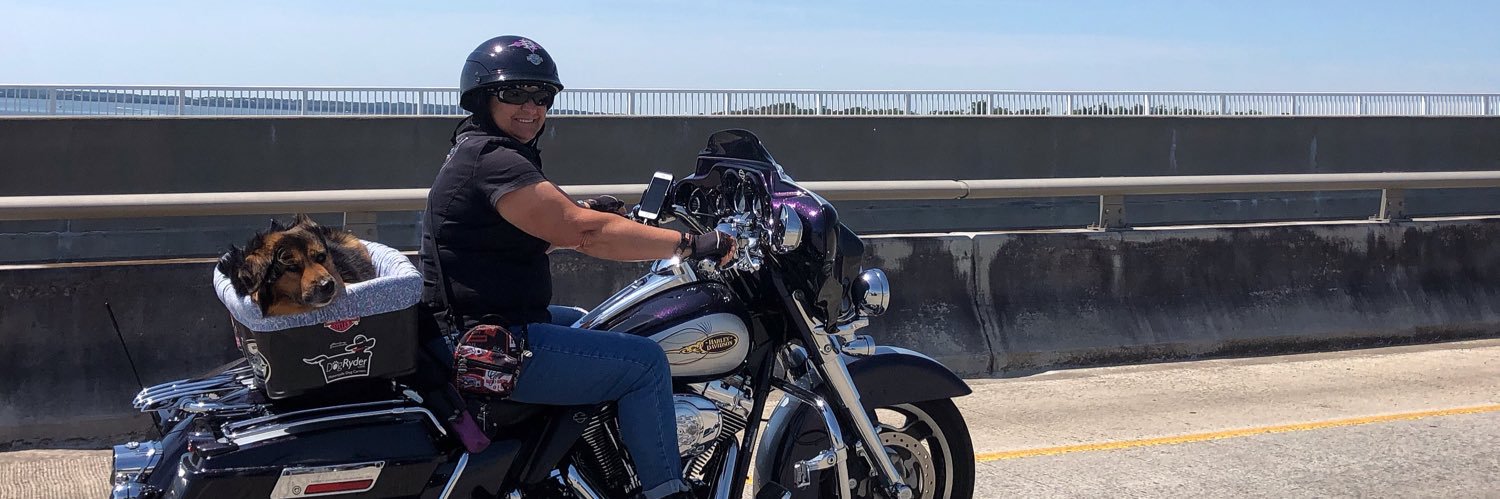 thisladyrides's profile banner image