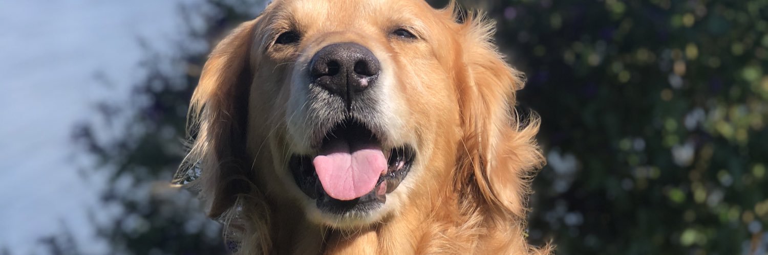 Tiaaareee's profile banner image