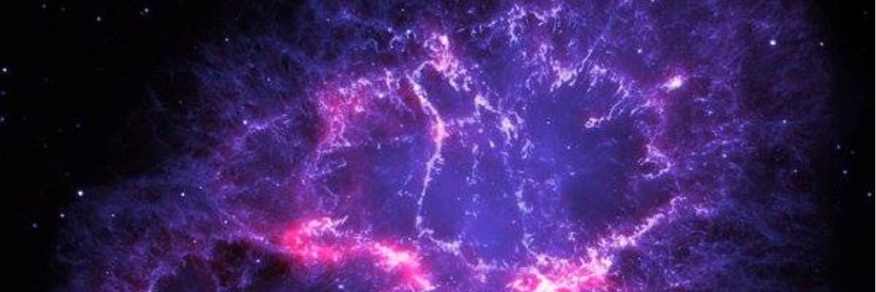 rhonda_fay's profile banner image