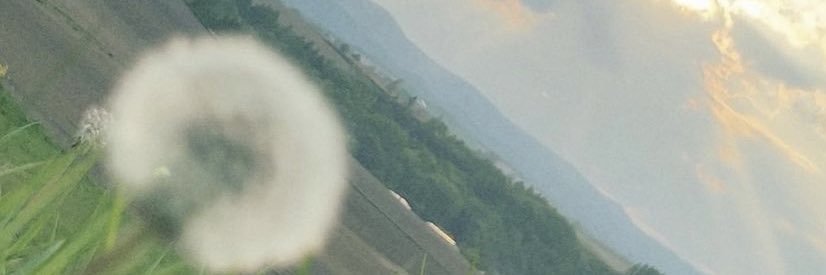 r_iii016's profile banner image
