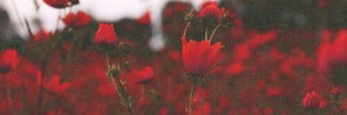 steffalmighty's profile banner image