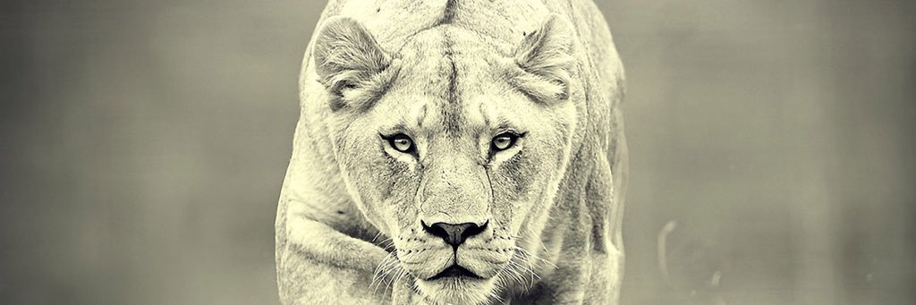 __jayysmoove's profile banner image