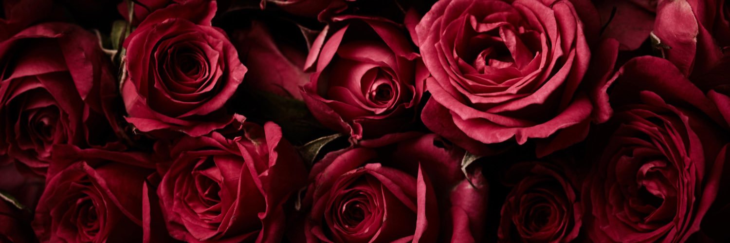 caffeinatedpixo's profile banner image