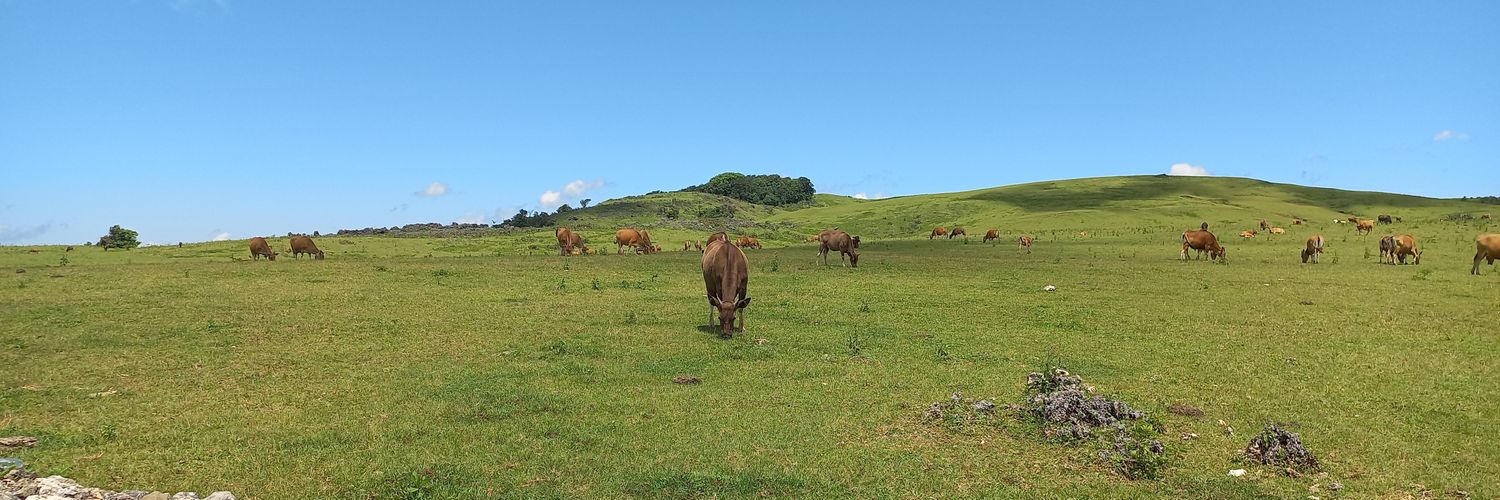. banner