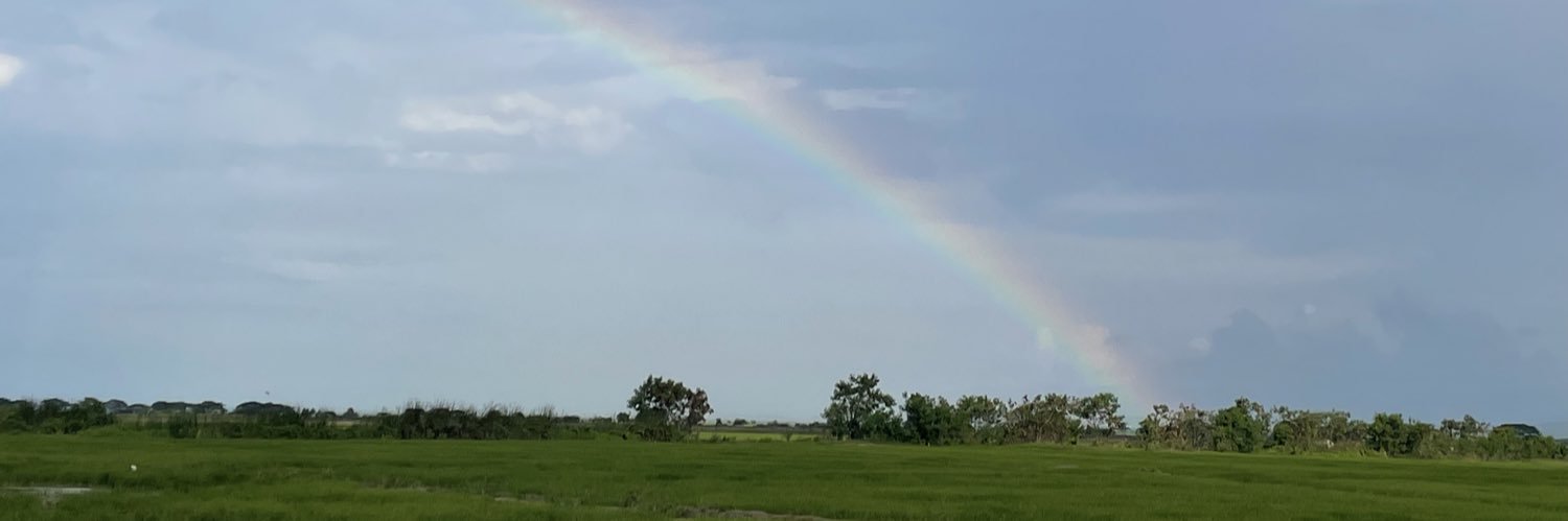 RodriguezElayne's profile banner image