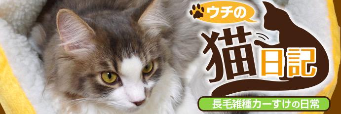mochi_sen's profile banner image
