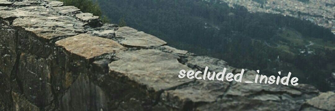 rohini_khade_'s profile banner image