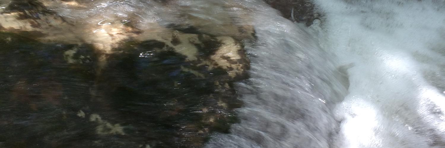 PoiesisForum's profile banner image