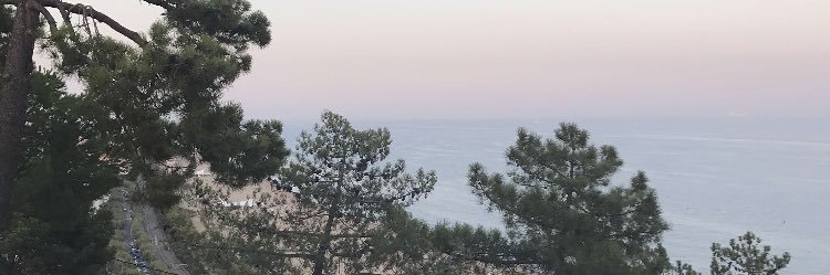 douxenuit's profile banner image