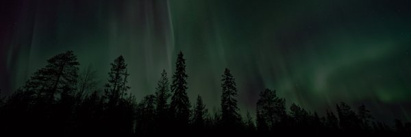 CuPy_Team Profile Banner