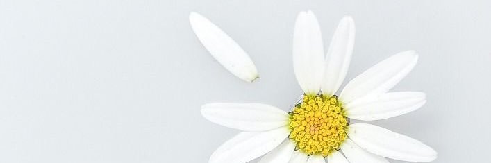 tindulpina's profile banner image