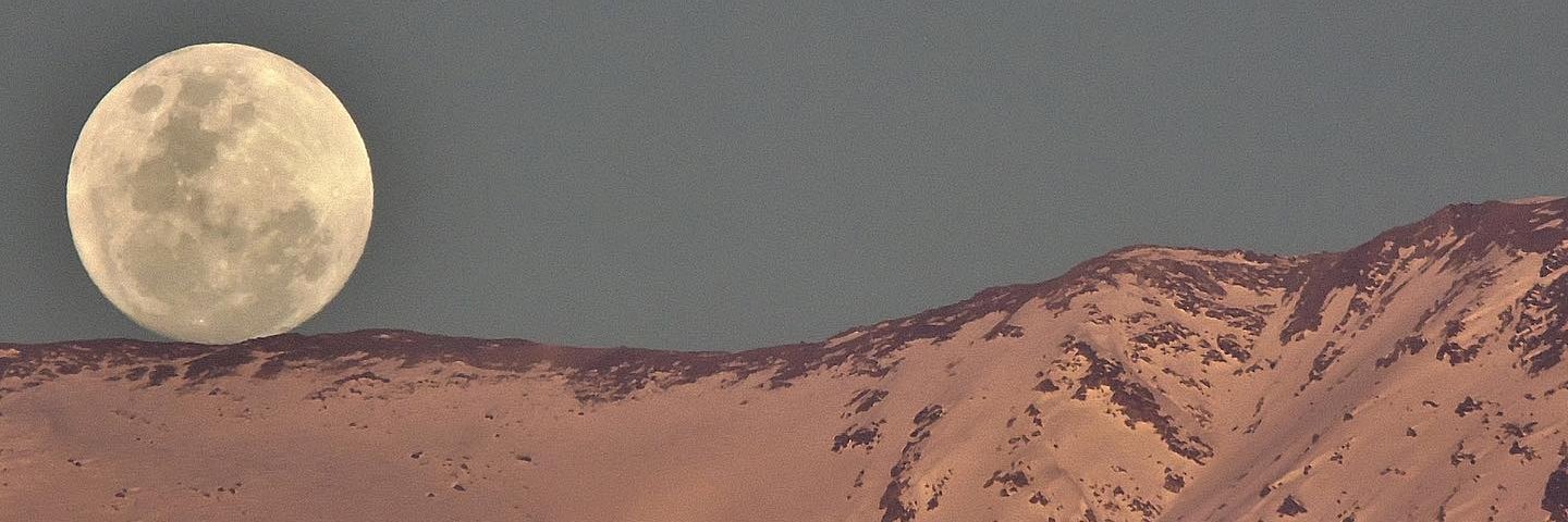 Francisco Ramirez banner