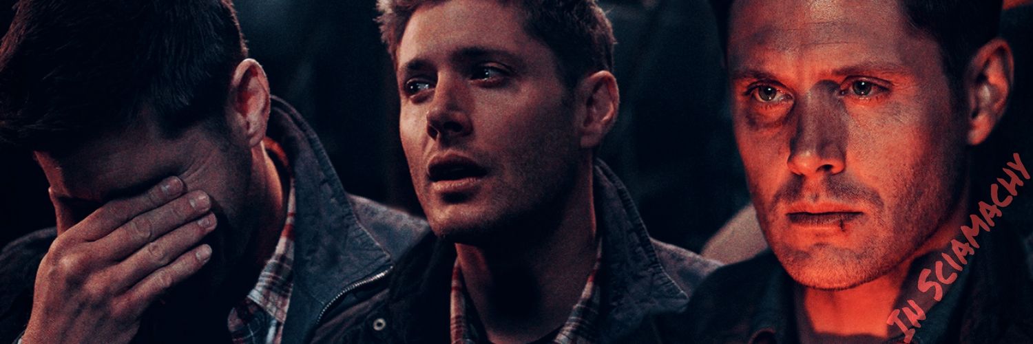 InSciamachy's profile banner image
