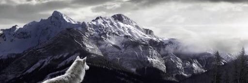 BrydeeL's profile banner image
