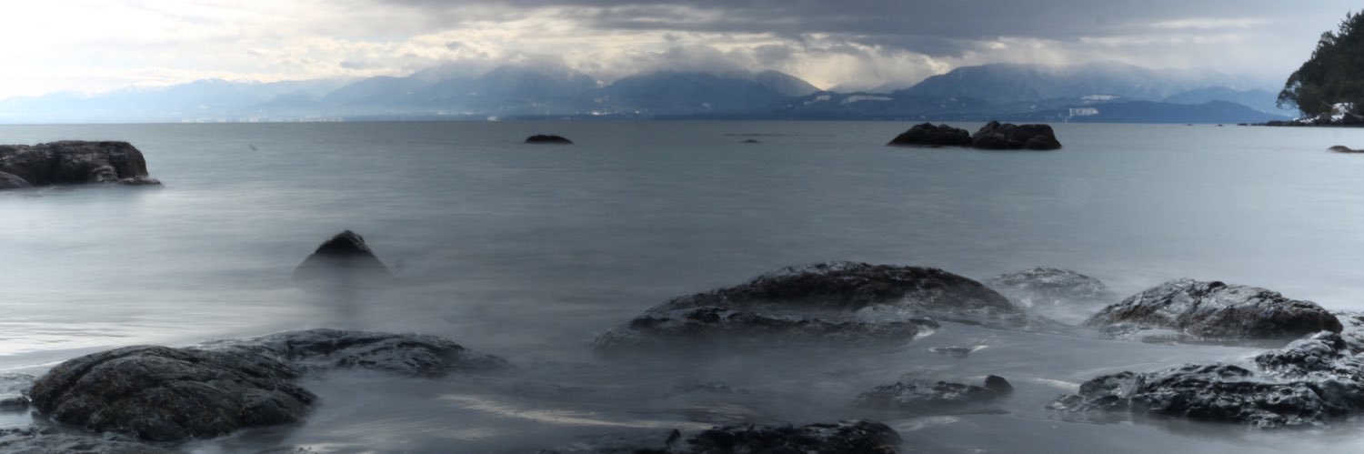 intertidal_zone's profile banner image