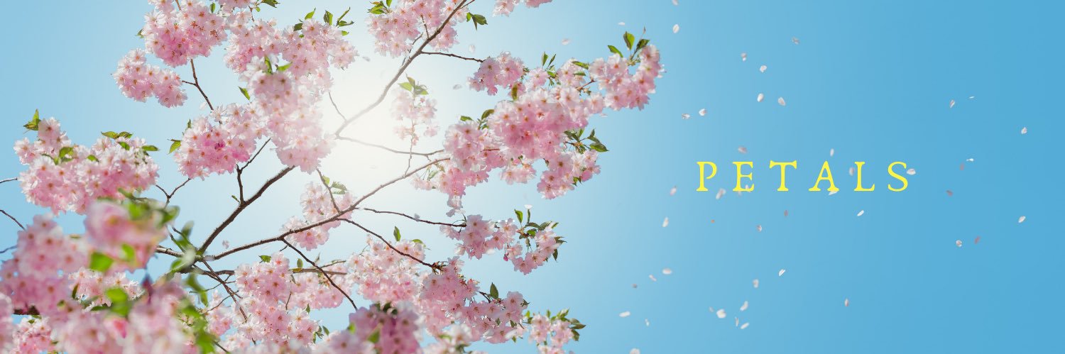 petalsbee's profile banner image