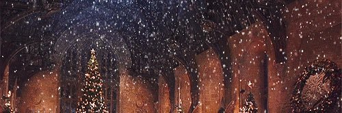 hanii_jj's profile banner image