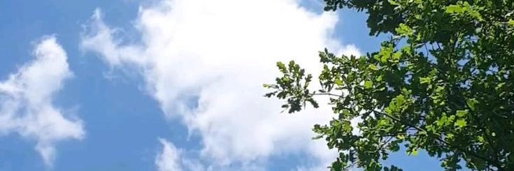 A_Immanueln's profile banner image
