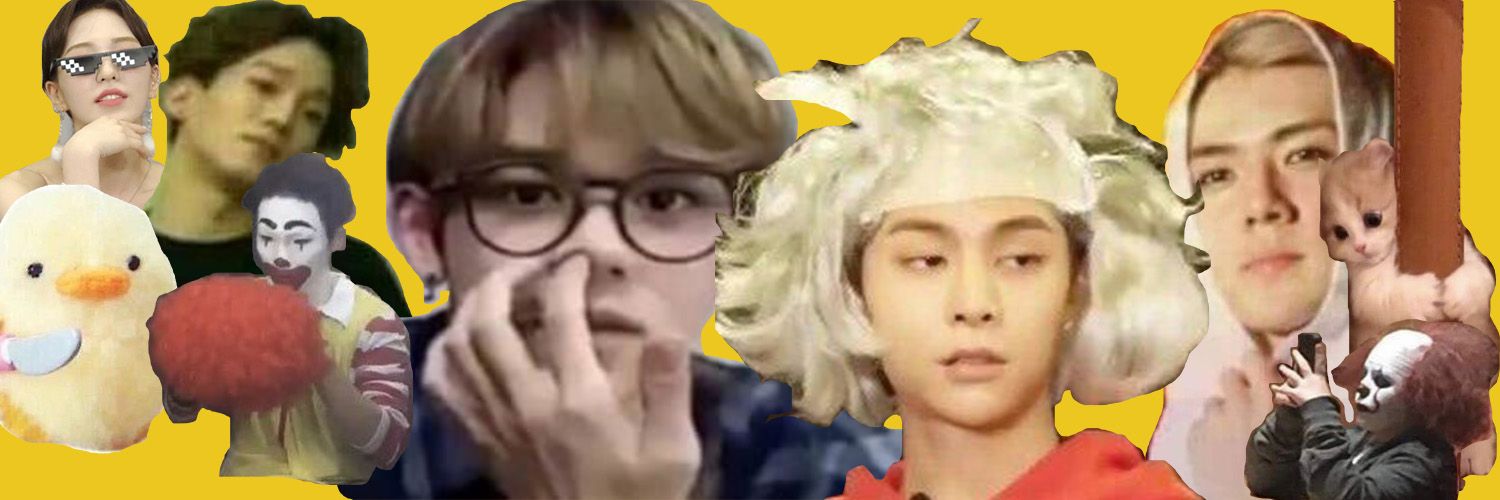 statua_'s profile banner image