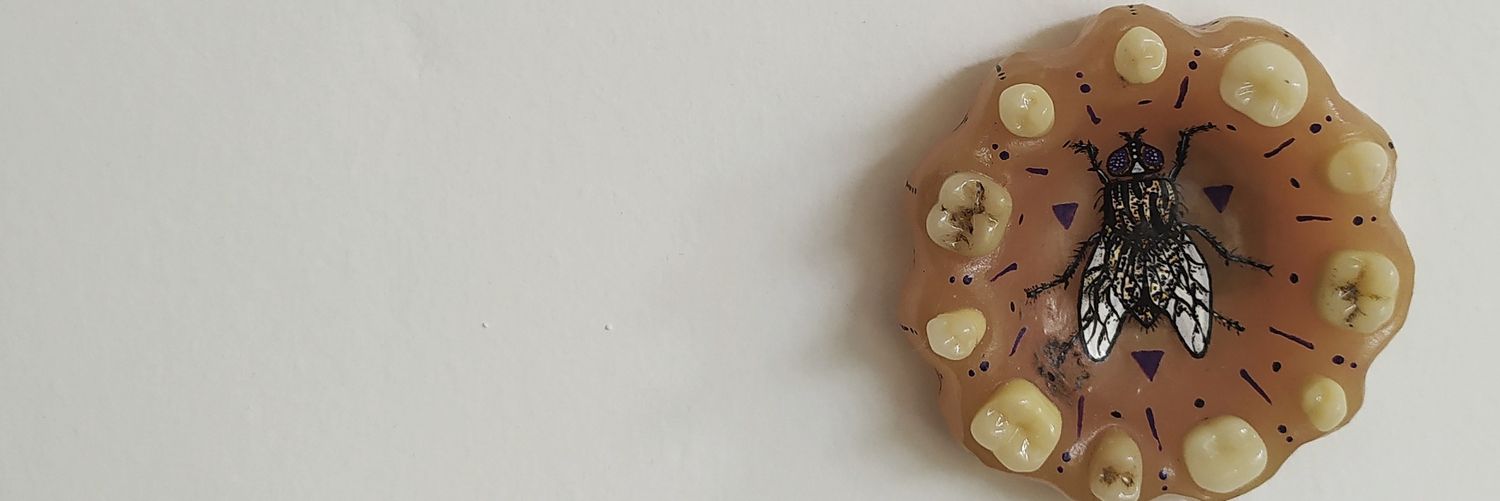 Laura Mamífera banner