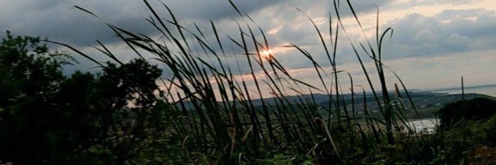 Mohammed Alrashed banner