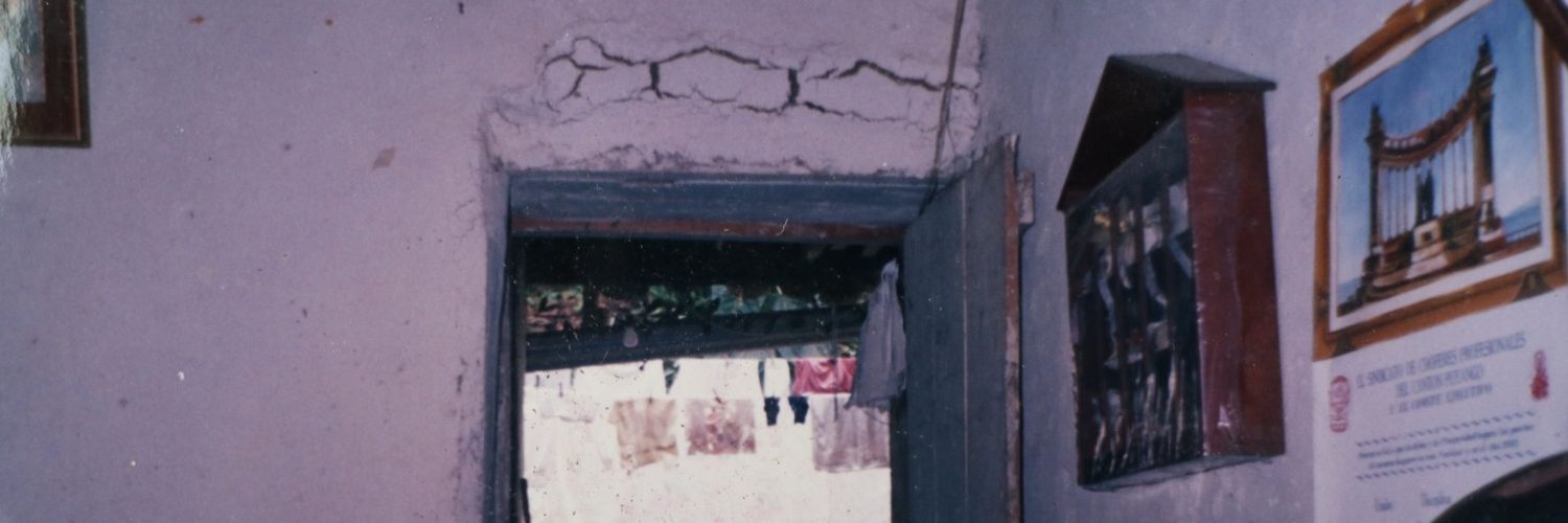 beeborusselI's profile banner image