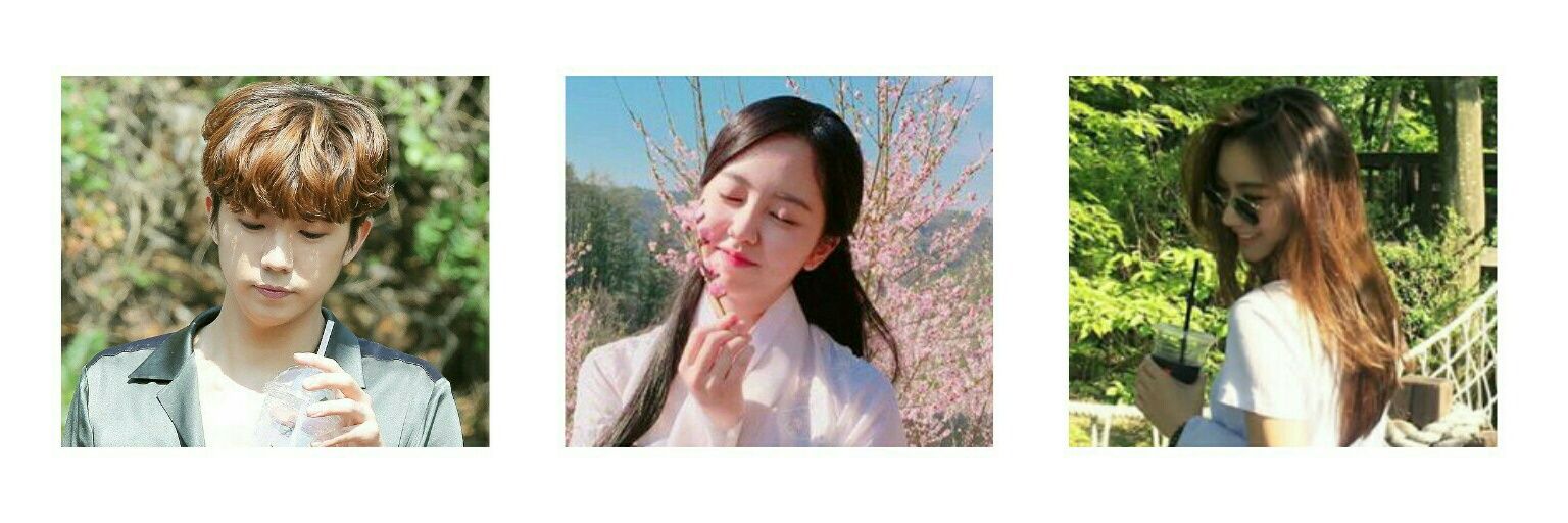 Mel。 banner