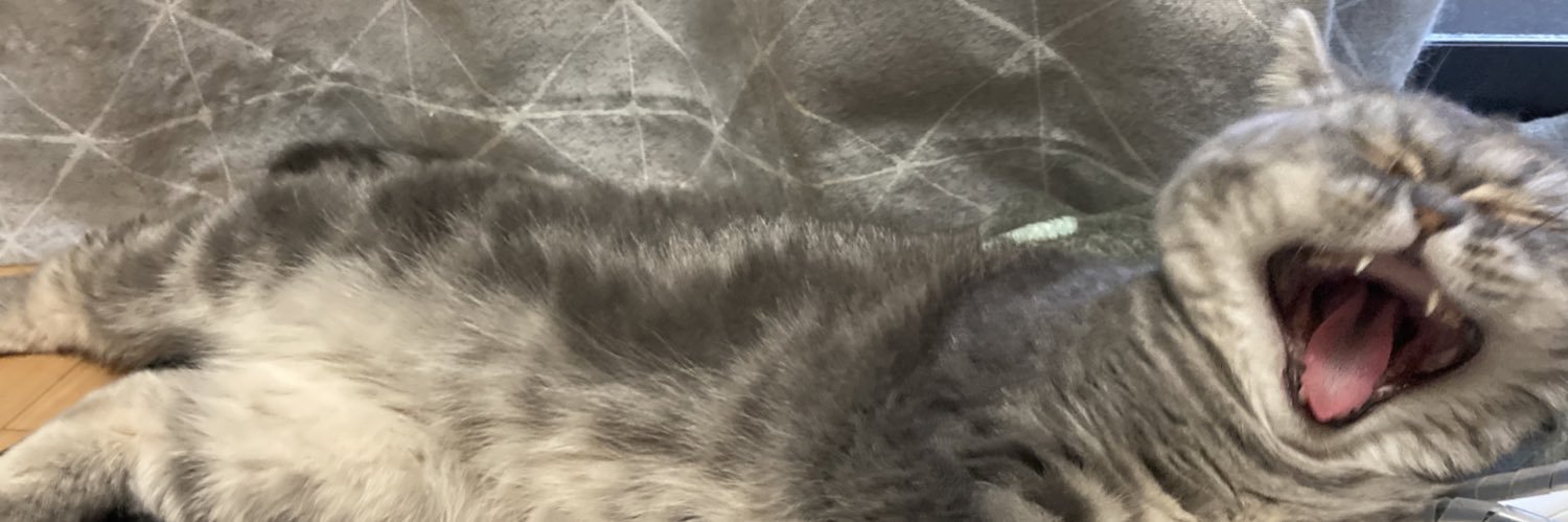 オサシミ banner