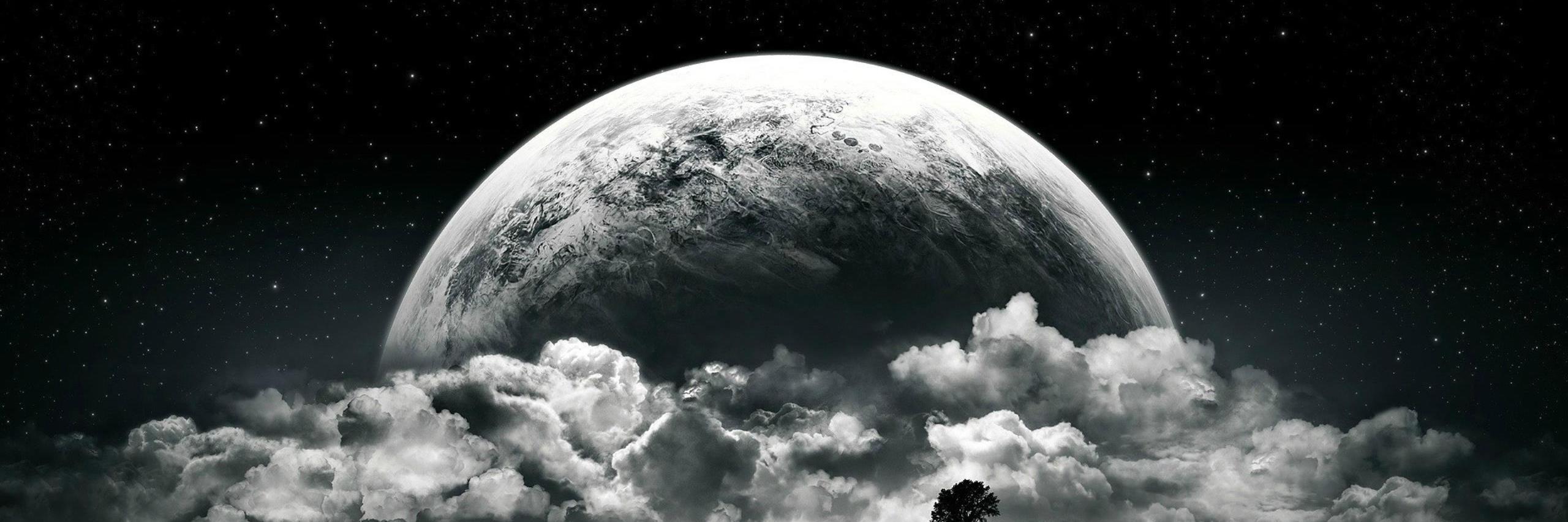 malek_ca's profile banner image