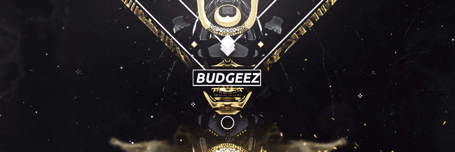 Budgeez's profile banner image