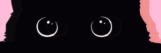 bones_puzzle's profile banner image