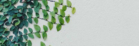 emma_scholtz's profile banner image