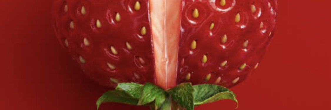 Misuzu🔮🇺🇸🇯🇵超長期初心者🦌 banner