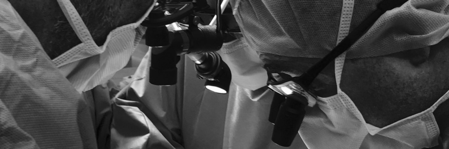 John Boockvar banner